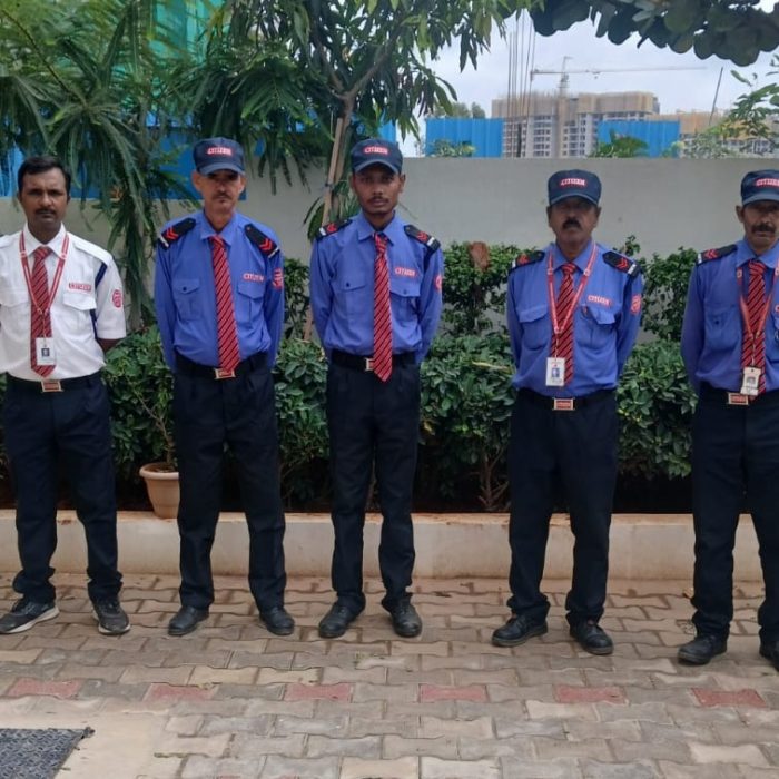 WhatsApp Image 2025-07-12 at 11.48.12